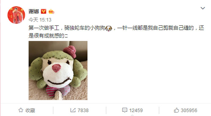 谢娜做手工 谢娜做手工