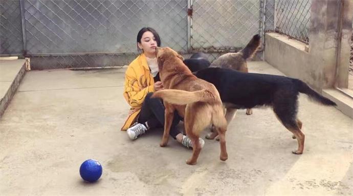 张馨予和狗狗互动 张馨予和狗狗互动