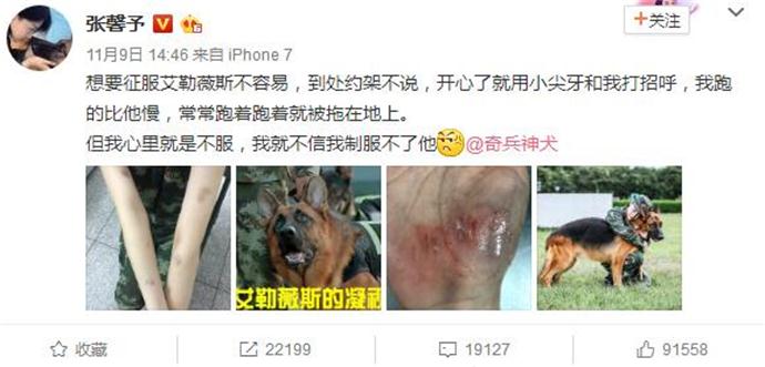 张馨予微博截图 张馨予微博截图