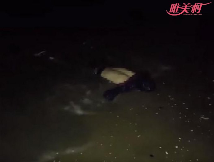 海边直播发现浮尸 海边直播发现浮尸