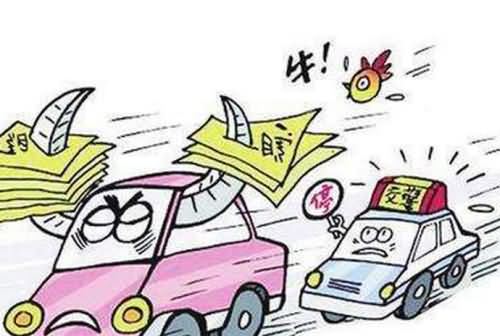 最牛交通违法户