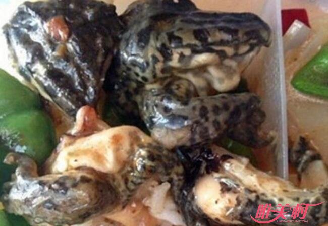 高校恐怖黑暗料理