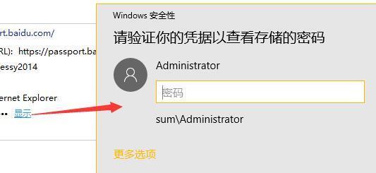 win10查看浏览器密码的技巧(4) win10查看浏览器密码的技巧(4)