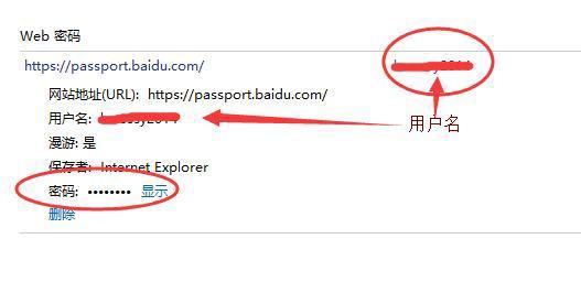 win10查看浏览器密码的技巧(3) win10查看浏览器密码的技巧(3)