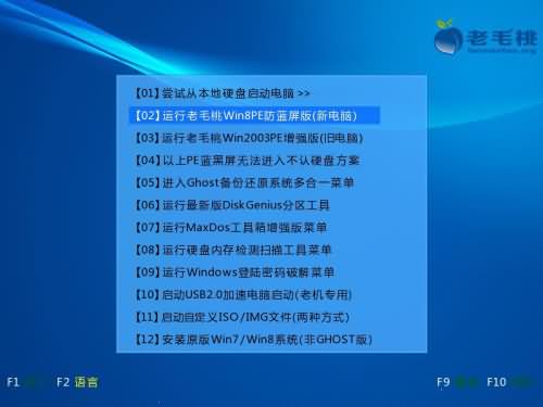 老毛桃U盘快速装windows10纯净系统教程