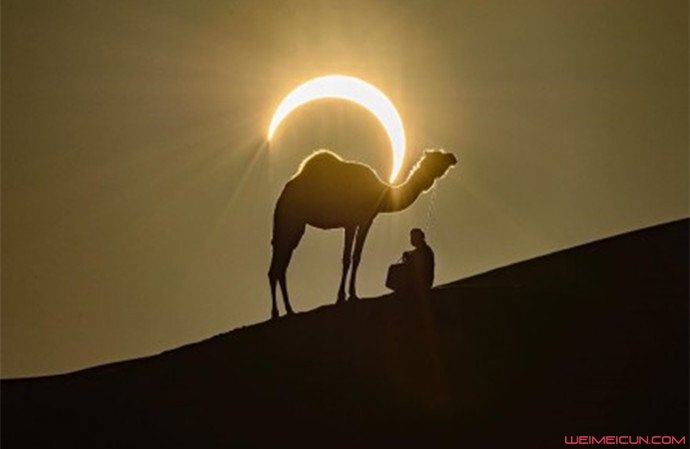 骆驼背上的太阳好美 自然与人文的完美结合摄影师是他