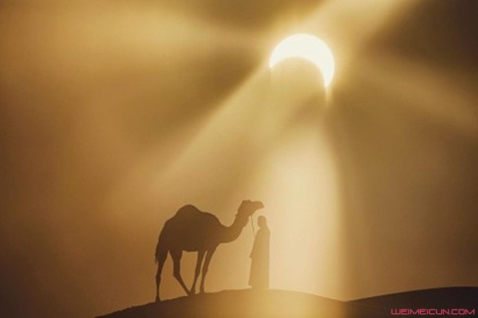 骆驼背上的太阳