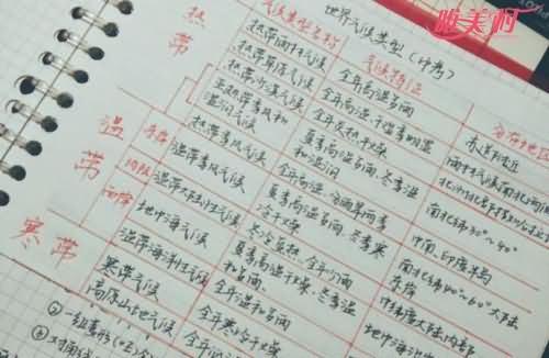 屠臣夫人
