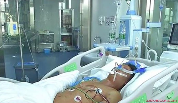 摘板栗遭马蜂袭击 摘板栗遭马蜂袭击