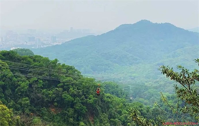 全国最长滑索开放 全国最长滑索开放