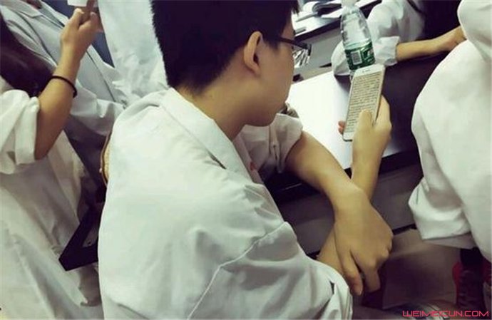 伊丽莎白鼠是谁什么梗 伊丽莎白鼠是谁什么梗
