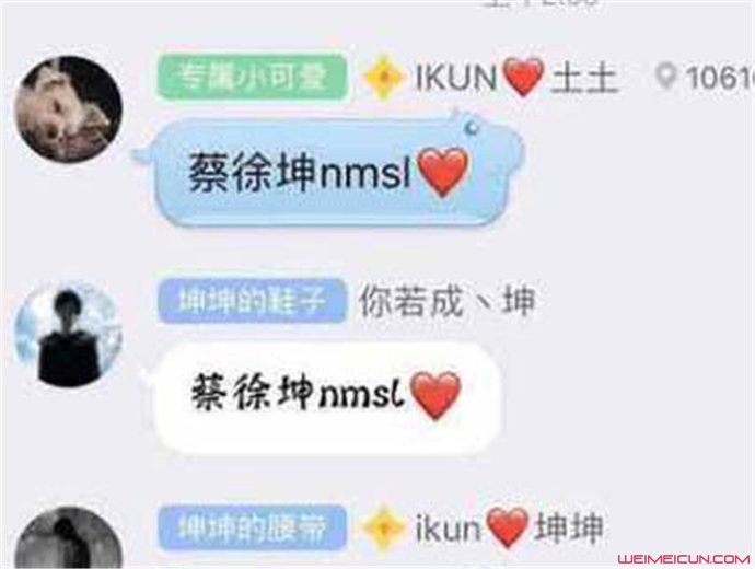 网络用语nmsl蔡徐坤 网络用语nmsl蔡徐坤