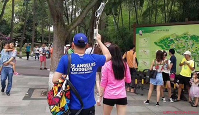打吊瓶看熊猫被终身免票 打吊瓶看熊猫被终身免票