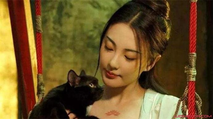 袁巴元前妻张雨绮