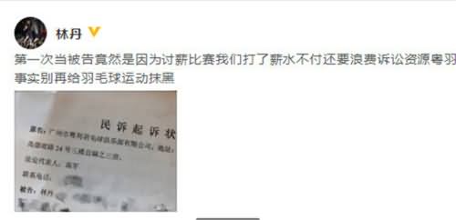 林丹讨薪被告 林丹讨薪被告