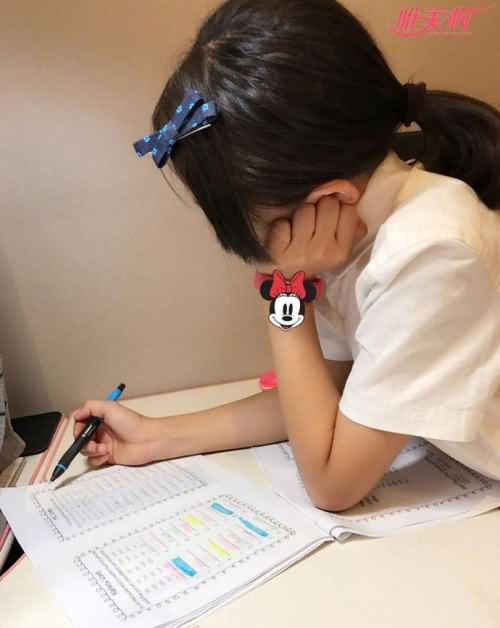 田亮晒森碟学习照 田亮晒森碟学习照