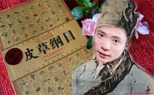 李时珍的皮是什么意思