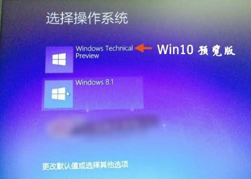 win10下安装双系统8.1安装方法(12)