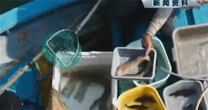 一家吃海鱼中毒 一家吃海鱼中毒