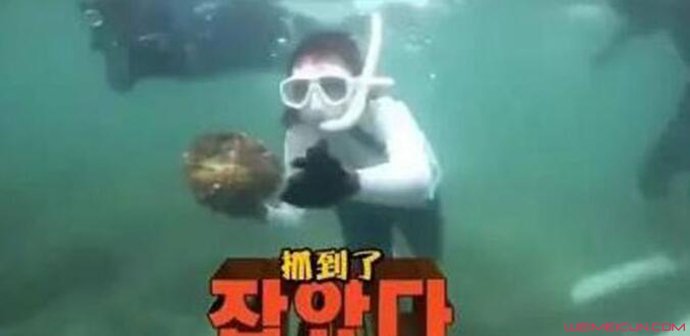丛林的法则道歉怎么回事