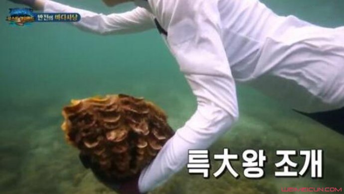 丛林的法则道歉