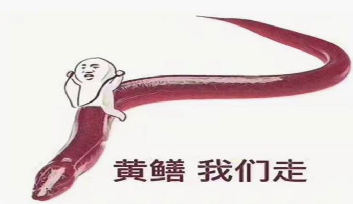 皮皮鳝我们走是什么梗 是来源于一位网红主播