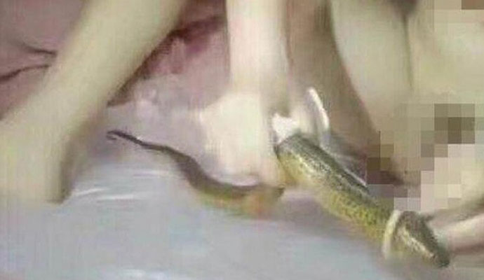 皮皮鳝我们走是什么梗 皮皮鳝我们走是什么梗