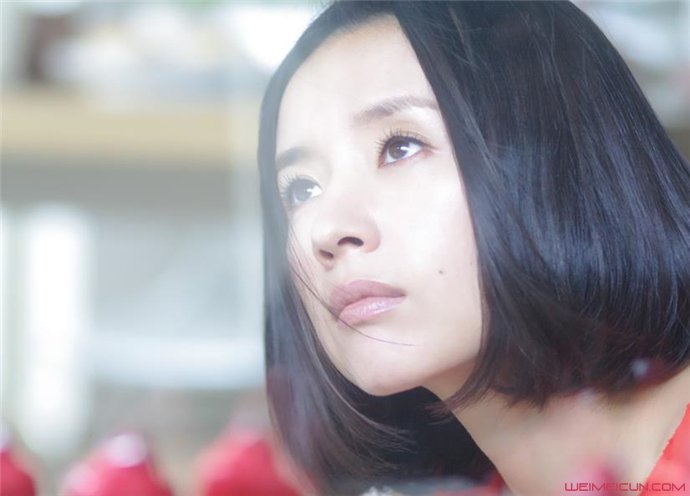 董洁 董洁