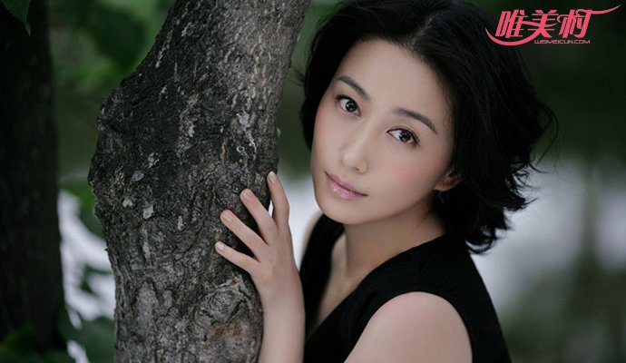 丁柳元个人资料,丁柳元