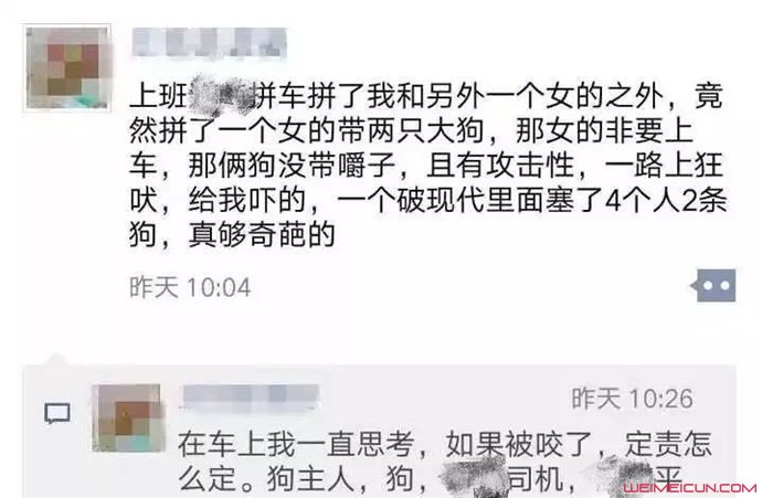 拼车拼到大狗