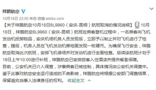 向发动机投掷硬币,飞机,发动机,投硬币 向发动机投掷硬币,飞机,发动机,投硬币