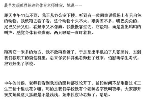 北极白狐闯入高中 现实版三生三世十里桃花