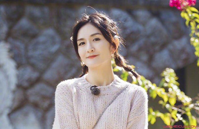 谢娜否认怀二胎说了啥 谢娜否认怀二胎说了啥