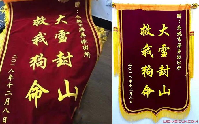 大雪封山救我狗命 看似滑稽背后故事却既惊险又感动