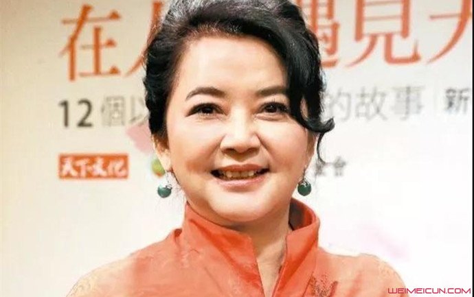 胡慧中老公犯了什么罪