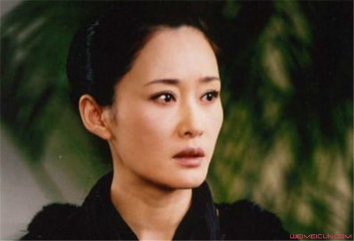 盖丽丽 盖丽丽