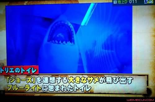 海贼王作者豪宅曝光 海贼王作者豪宅曝光