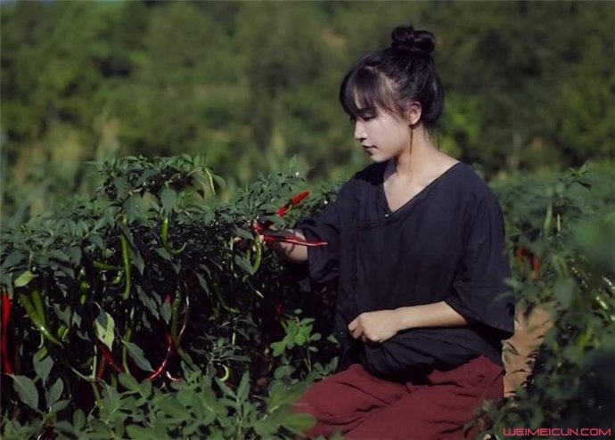 李子柒个人资料 李子柒个人资料