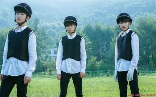 tf家族成员为什么退出