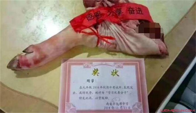 奖励学生大猪蹄子原因曝光