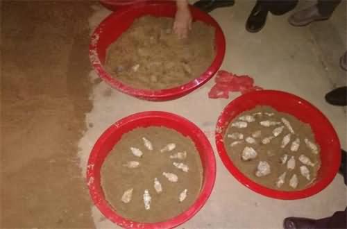 农民挖到百枚炮弹 农民挖到百枚炮弹