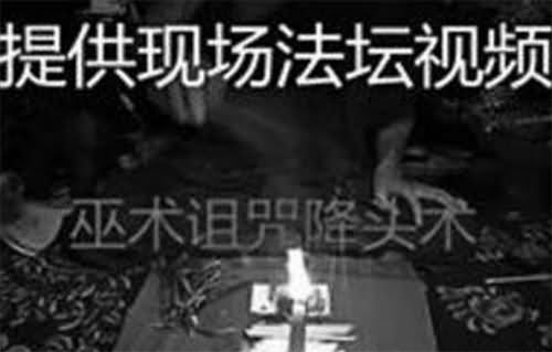 网卖诅咒销量过千