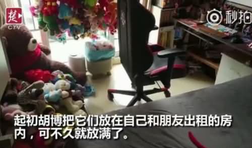 男生9个月抓3000娃娃 男生9个月抓3000娃娃