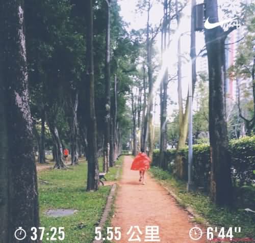 陈意涵挺孕肚跑步 挺孕肚跑5.5公里健步如飞她是如何做到的