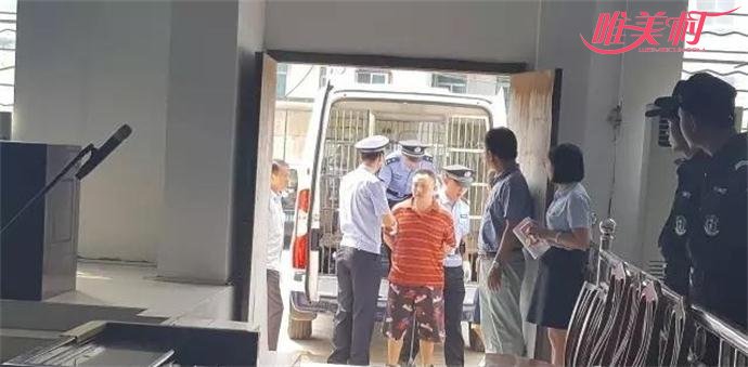 胡家兵押送法庭 胡家兵押送法庭