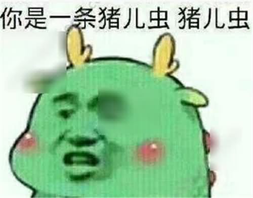 猪儿虫 猪儿虫