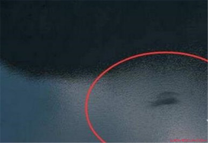 猎塔湖水怪是什么 猎塔湖水怪是什么