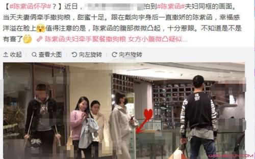 陈紫函方否认怀孕 陈紫函方否认怀孕