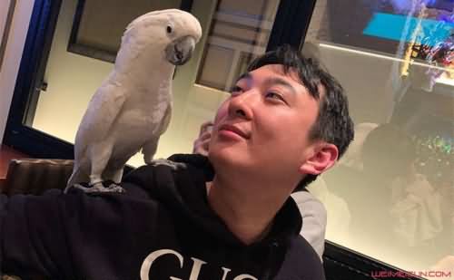 王思聪和花千芳怎么了 王思聪和花千芳怎么了