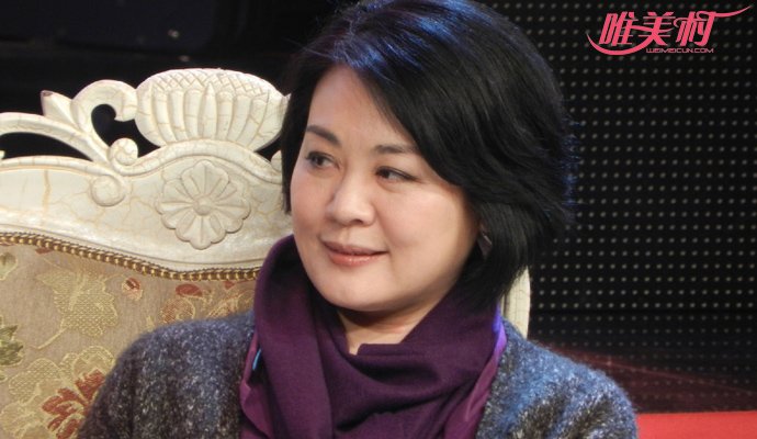 丛珊个人资料,丛珊